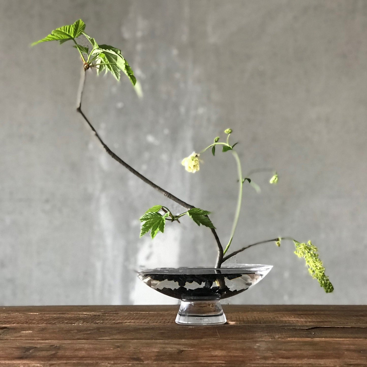 Silhouette Bowl Large